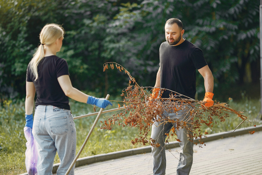 North London House Clearance crew collecting bagged green waste and branches from a garden